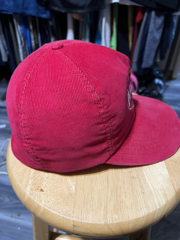 Vintage Alpo Corduroy Made in the USA SnapBack Hat