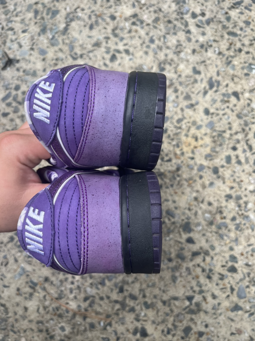 Nike SB “Purple Lobster” 🦞 💜