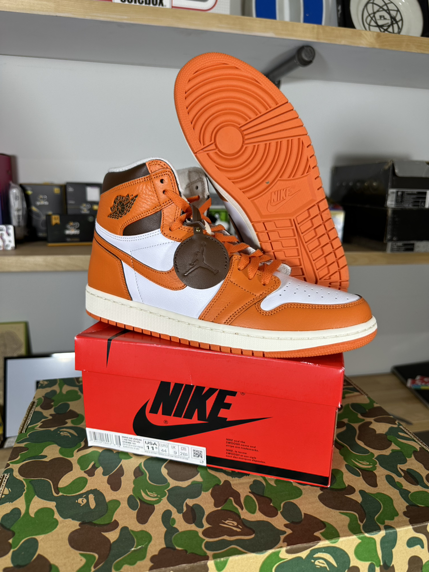 SZ 10M AJ 1 Starfish WMNS