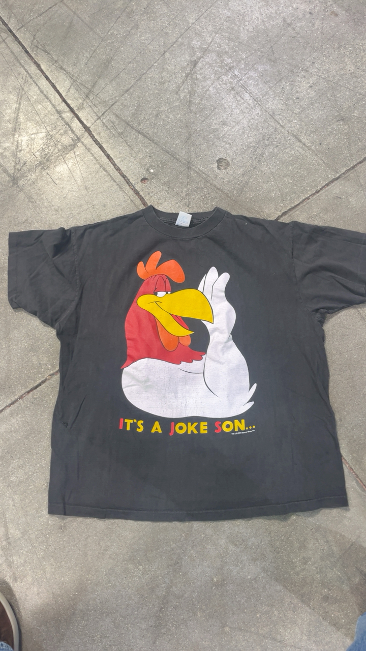 Warner bros 90s shirt