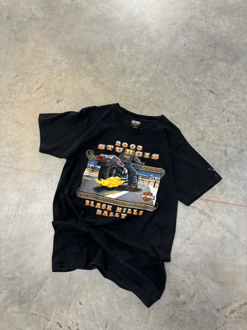 2003 Sturgis Harley Large