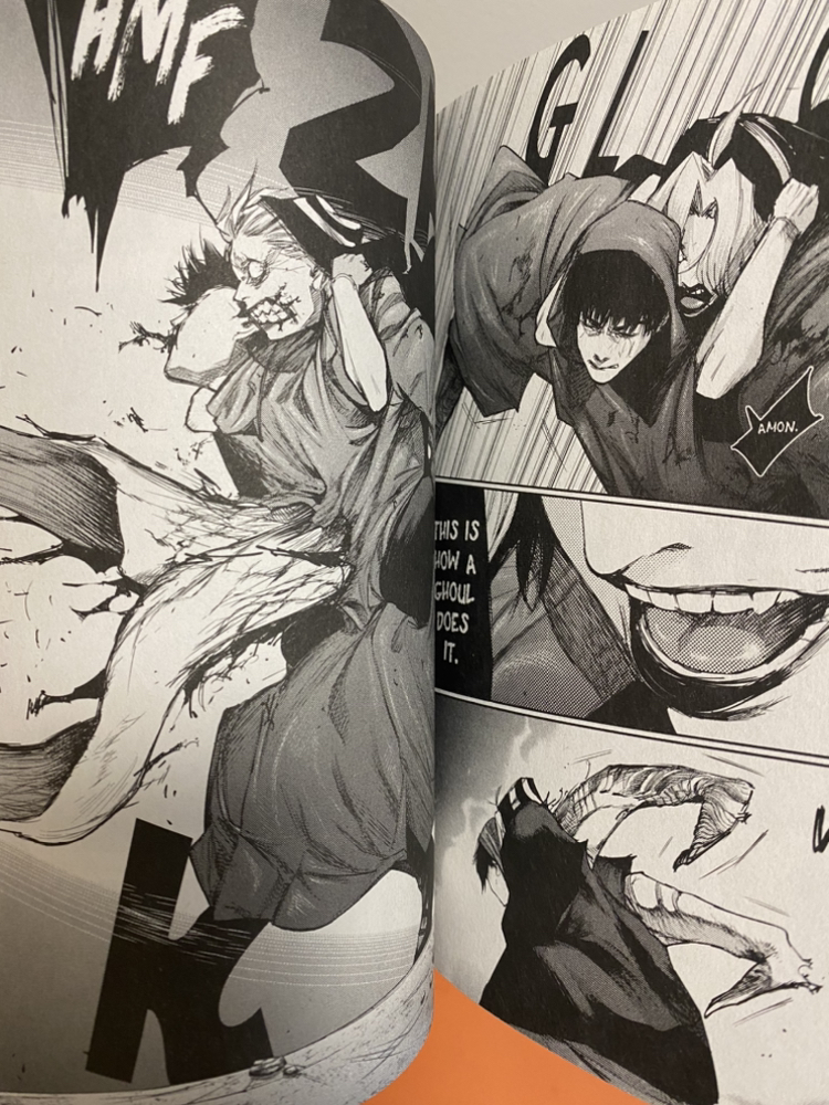 Tokyo Ghoul : Re Number 9 by Sui Ishida Anime Manga Book