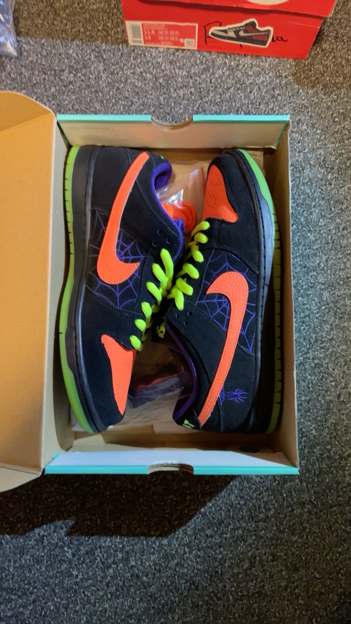 Sz 11 Night of mischief sb dunk