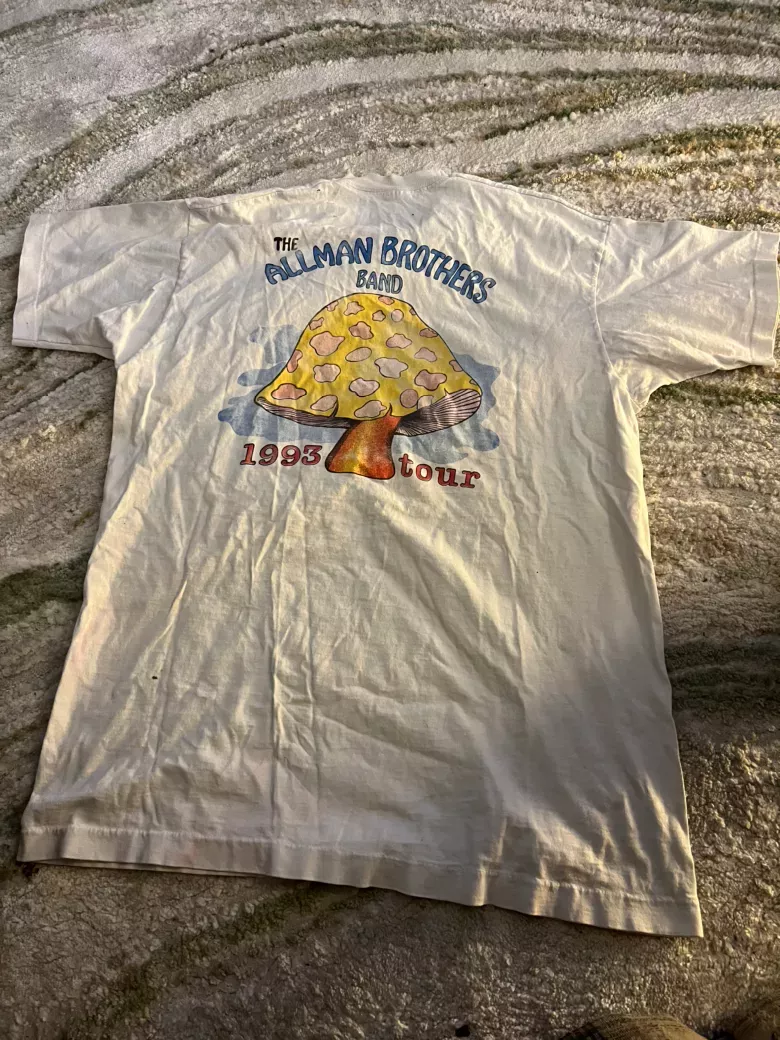 Vintage 1993 Allman Brothers Band T Shirt