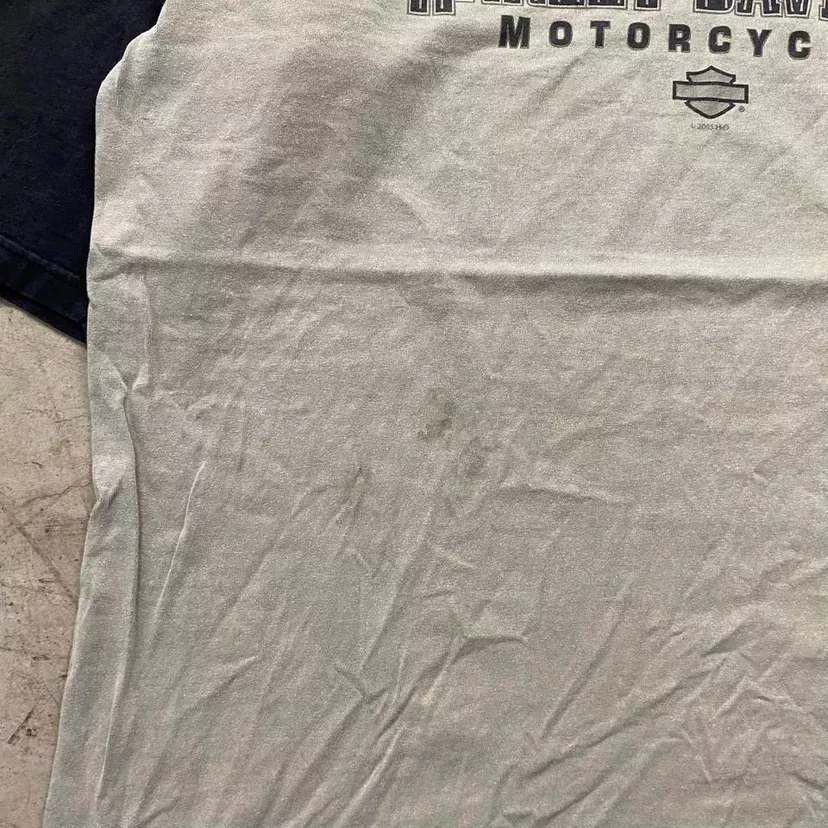 Vintage 2000s Harley Davidson Tee