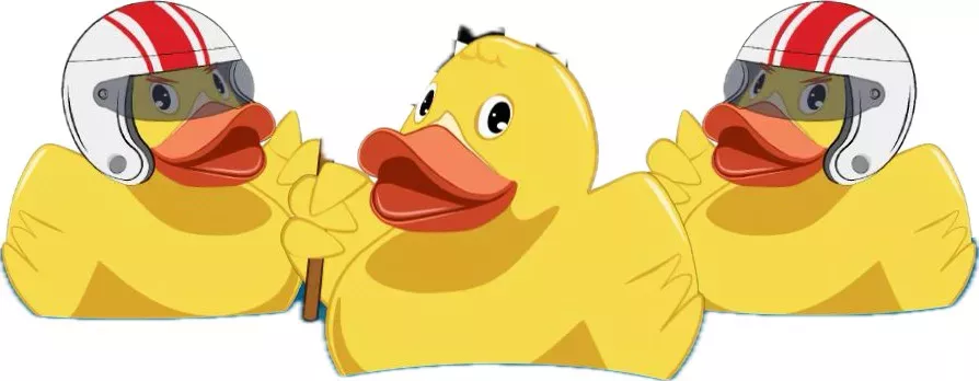 Duck race #1