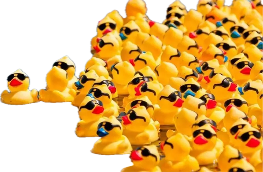 Duck race #6