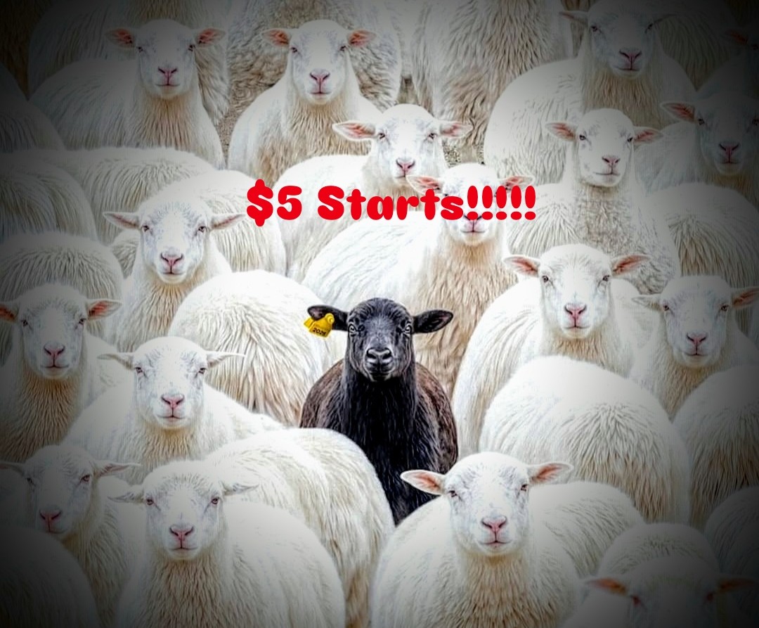 $5 Starts Random Pulls Various Sizes
