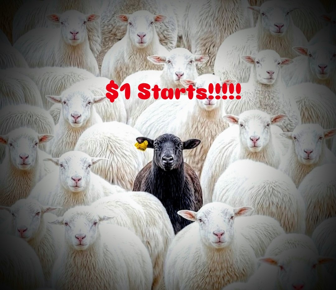 $1 Starts Random Pulls Sizes Vary