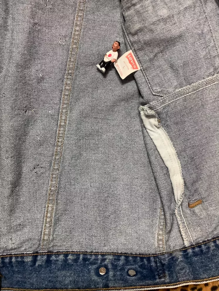 Levi's Type 3 Le SparkLe Embellished Denim Jacket