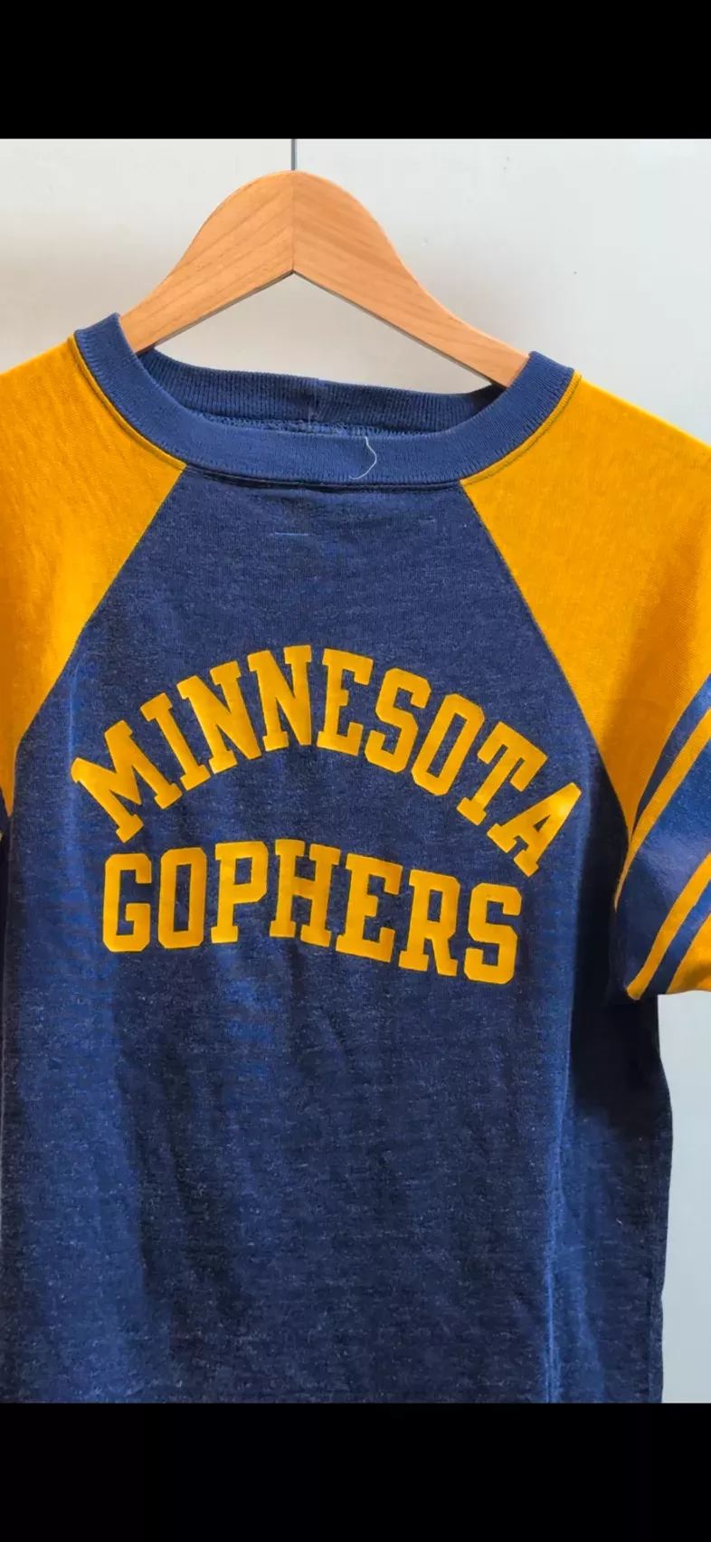 1960 Vintage Champion Minnesota Gophers Football Jersey