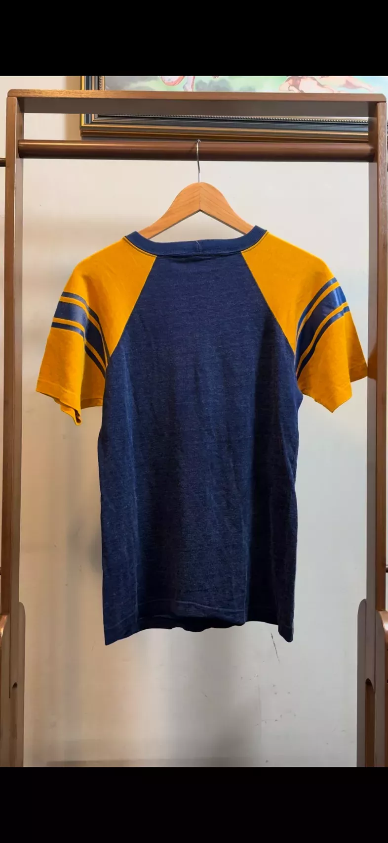 1960 Vintage Champion Minnesota Gophers Football Jersey