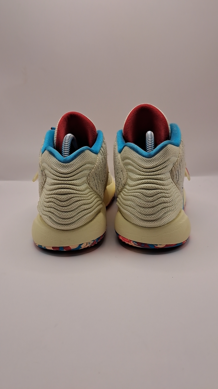 Nike KD 14 Multicolor