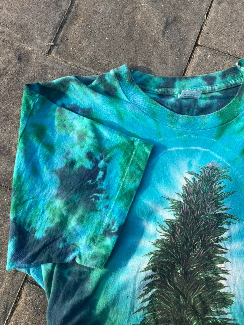 1990 Pot Tie-Dye Tree