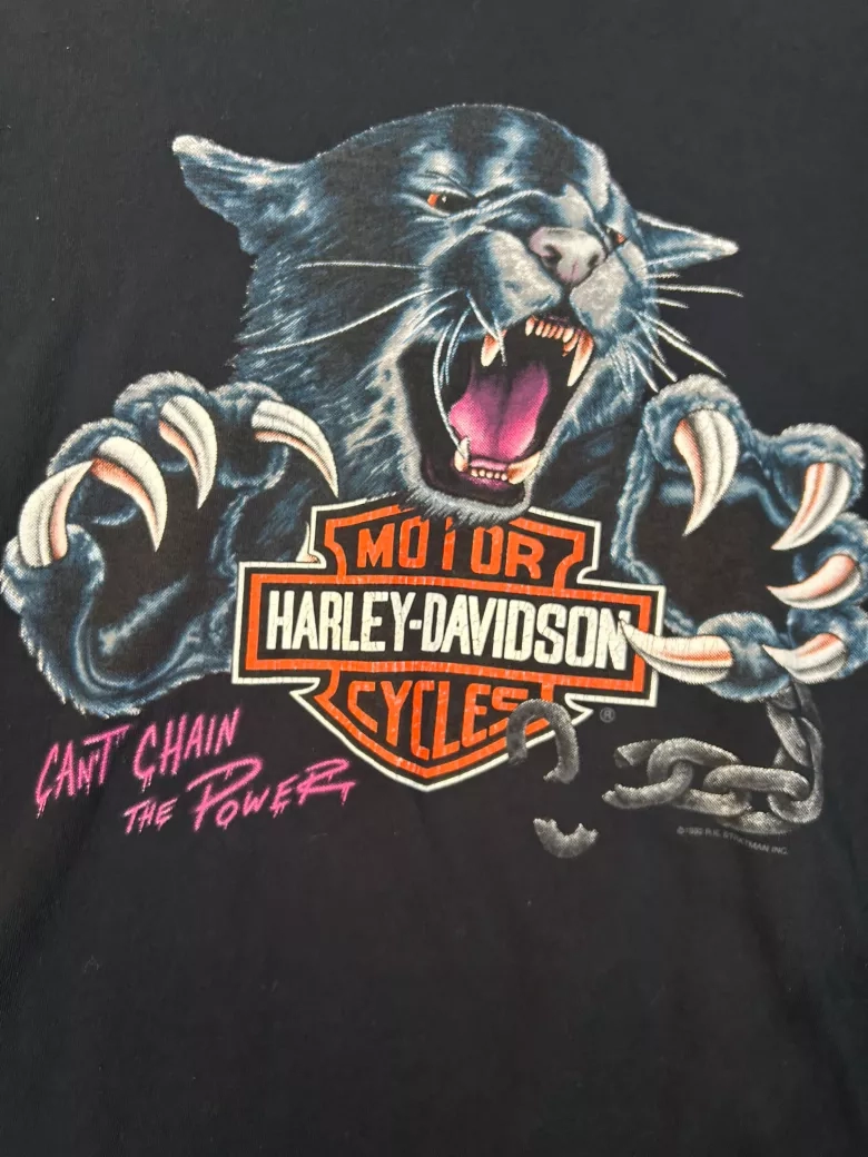 Vintage 1993 Can’t Chain The Power Harley Davidson Cropped Tee