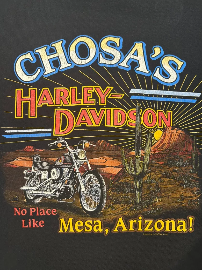 Vintage 1993 Can’t Chain The Power Harley Davidson Cropped Tee