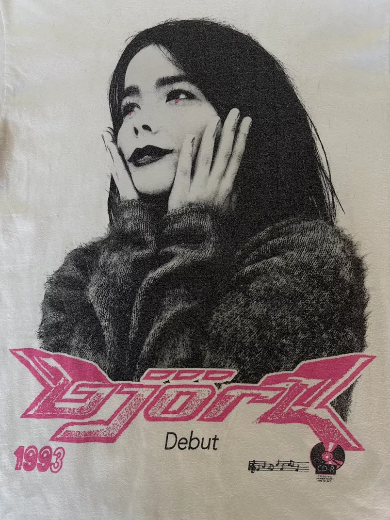 Björk Debut Era Promo Rare Japanese CD-R Issue S
