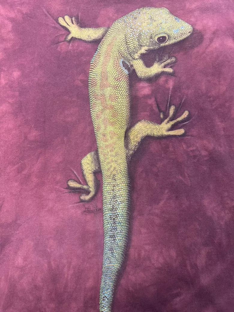 The Mountain Lizard Tee