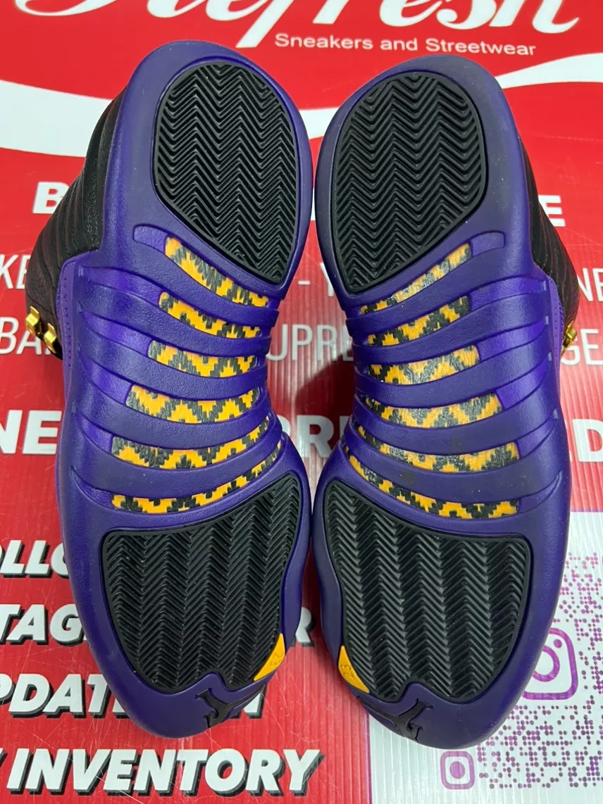 Air Jordan 12 Field Purple Size 13