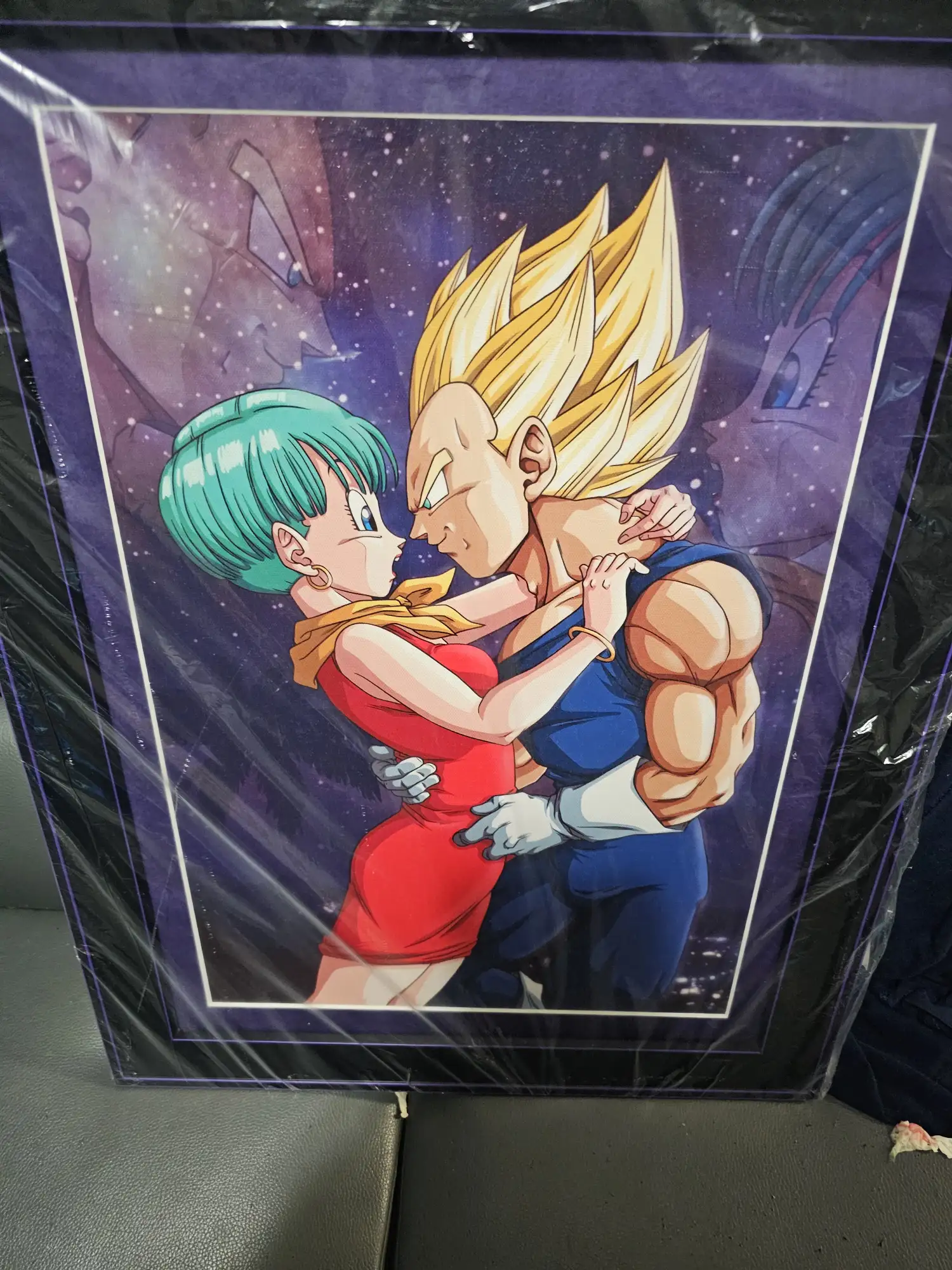 Dragon Ball Z Bulma & Vegeta Art