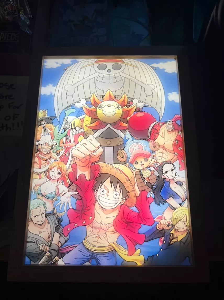 One Piece Straw Hat Crew Light Frame