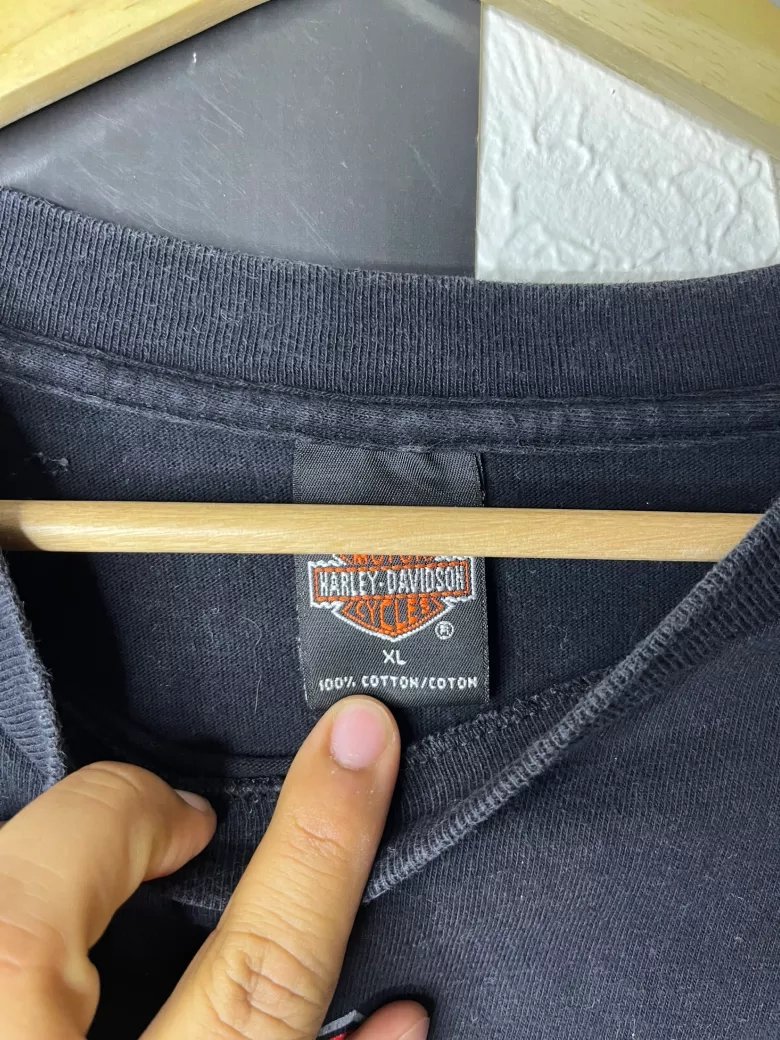 Harley-Davidson Flames Tee