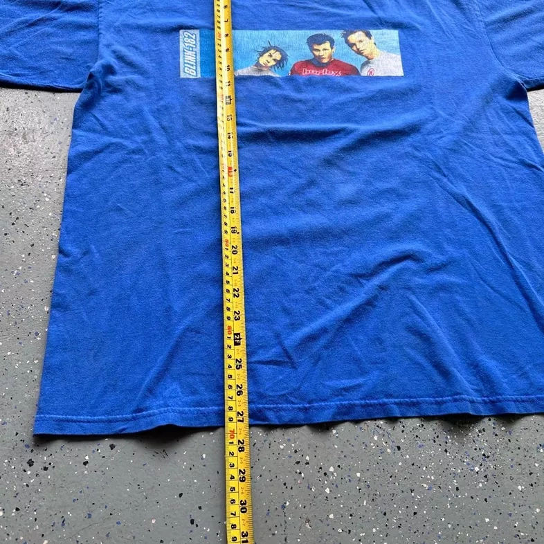 Vintage Blink-182 Band Tee