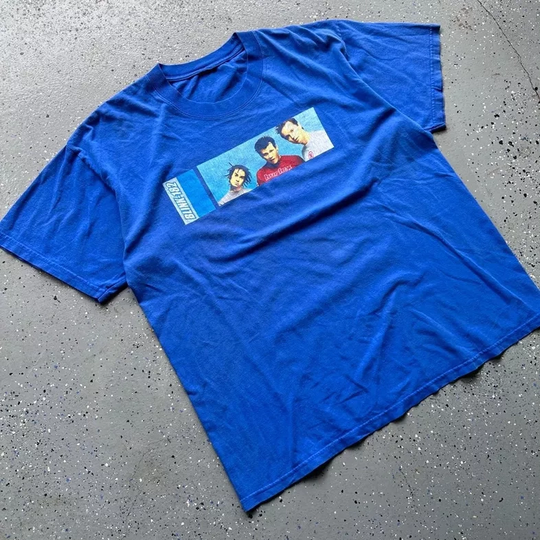 Vintage Blink-182 Band Tee