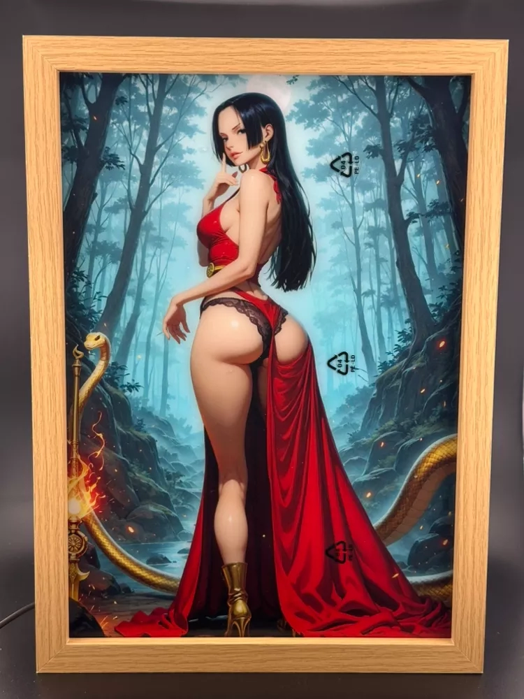 Boa Hancock Framed Art Light Box