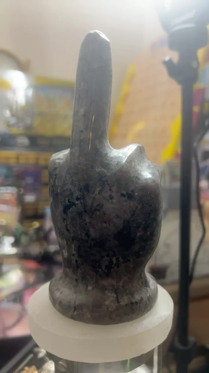 Rebellious Ring Holder