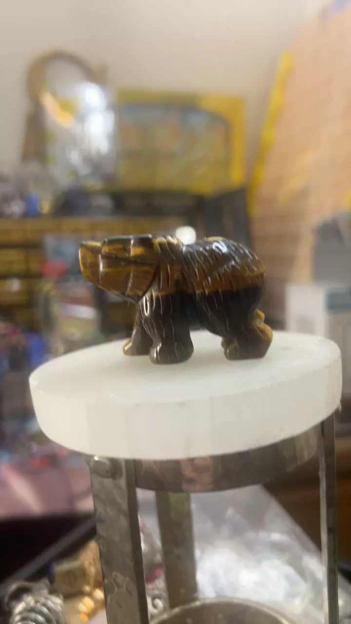 Tiger Eye Carved Bear