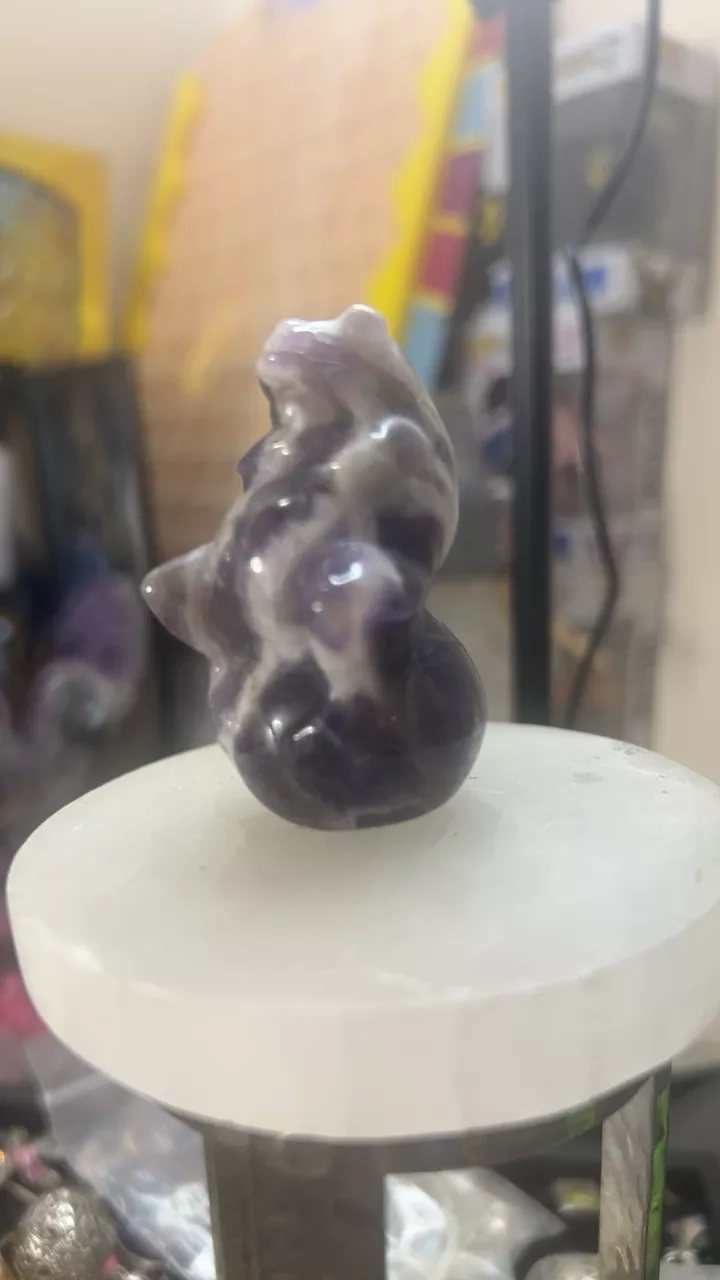 Grumpy Frog