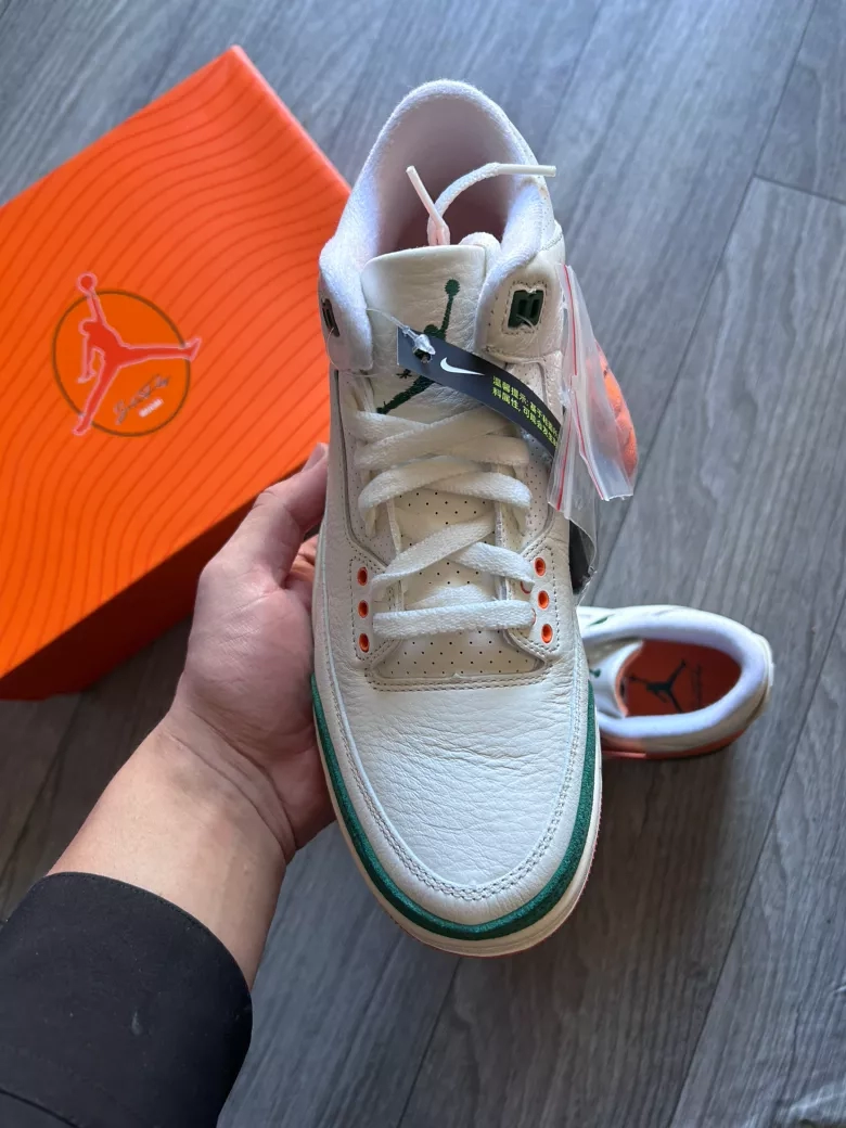 Jordan 3 Solefly Florida