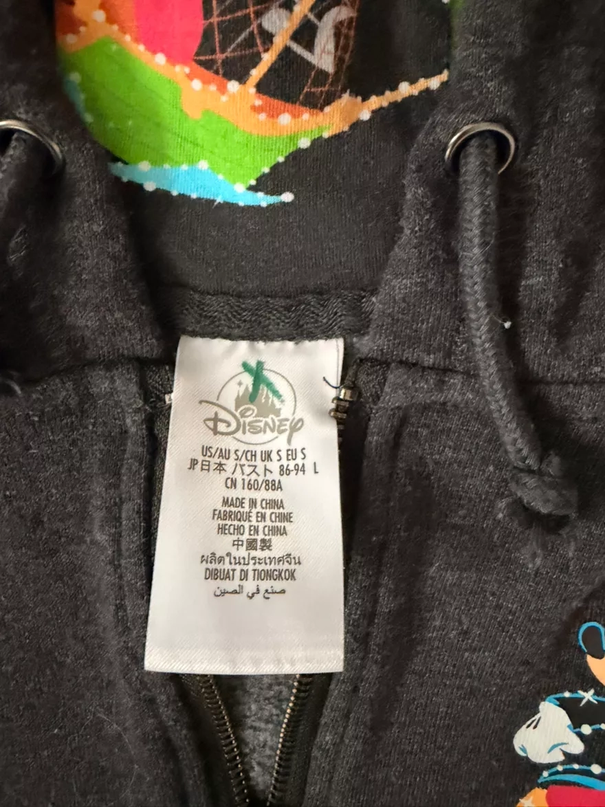 Disney Electric Light Parade Hoodie