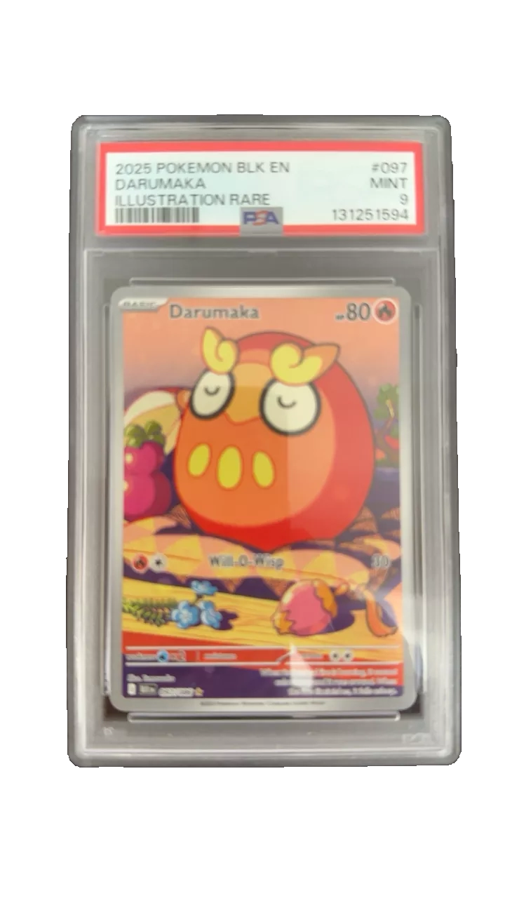 2025 Pokemon Black & White Darumaka Illustration Rare PSA 9 Mint