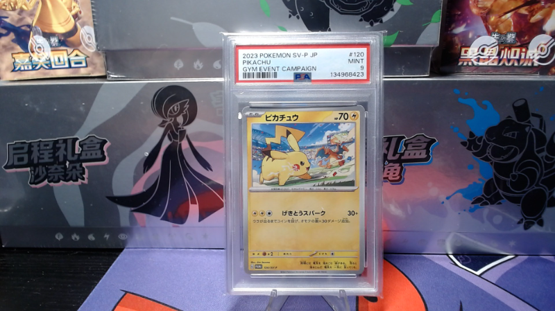 PSA 9 Pikachu Gym Event Campaign JPN