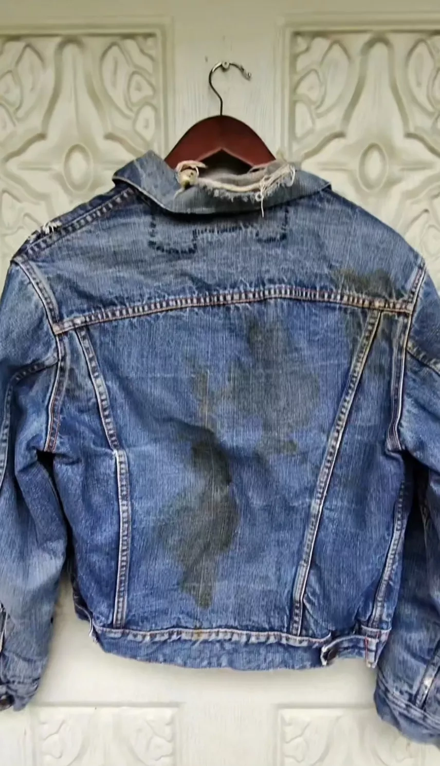 Levis “Big E” type 3 troy blanket lined