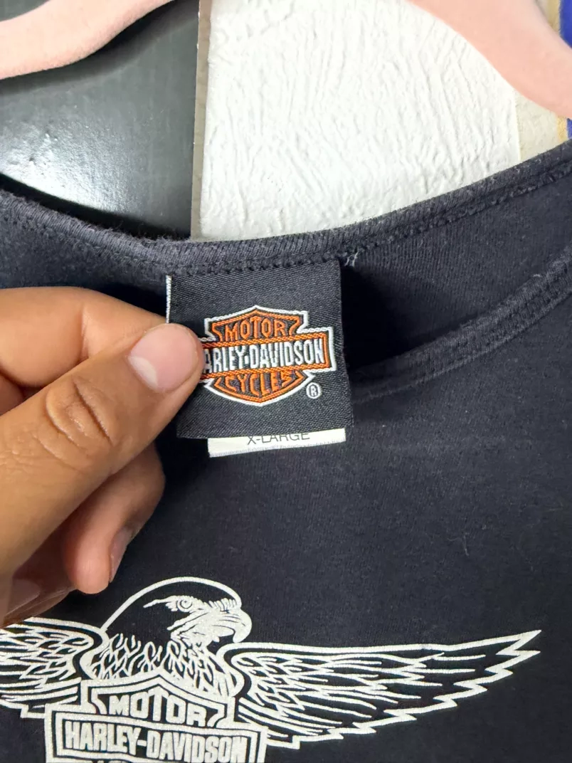 Harley-Davidson Eagle Graphic T-Shirt