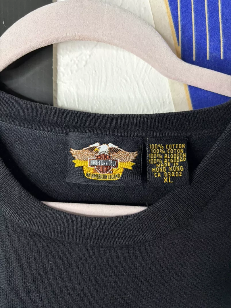 Harley-Davidson Striped Men's T-Shirt