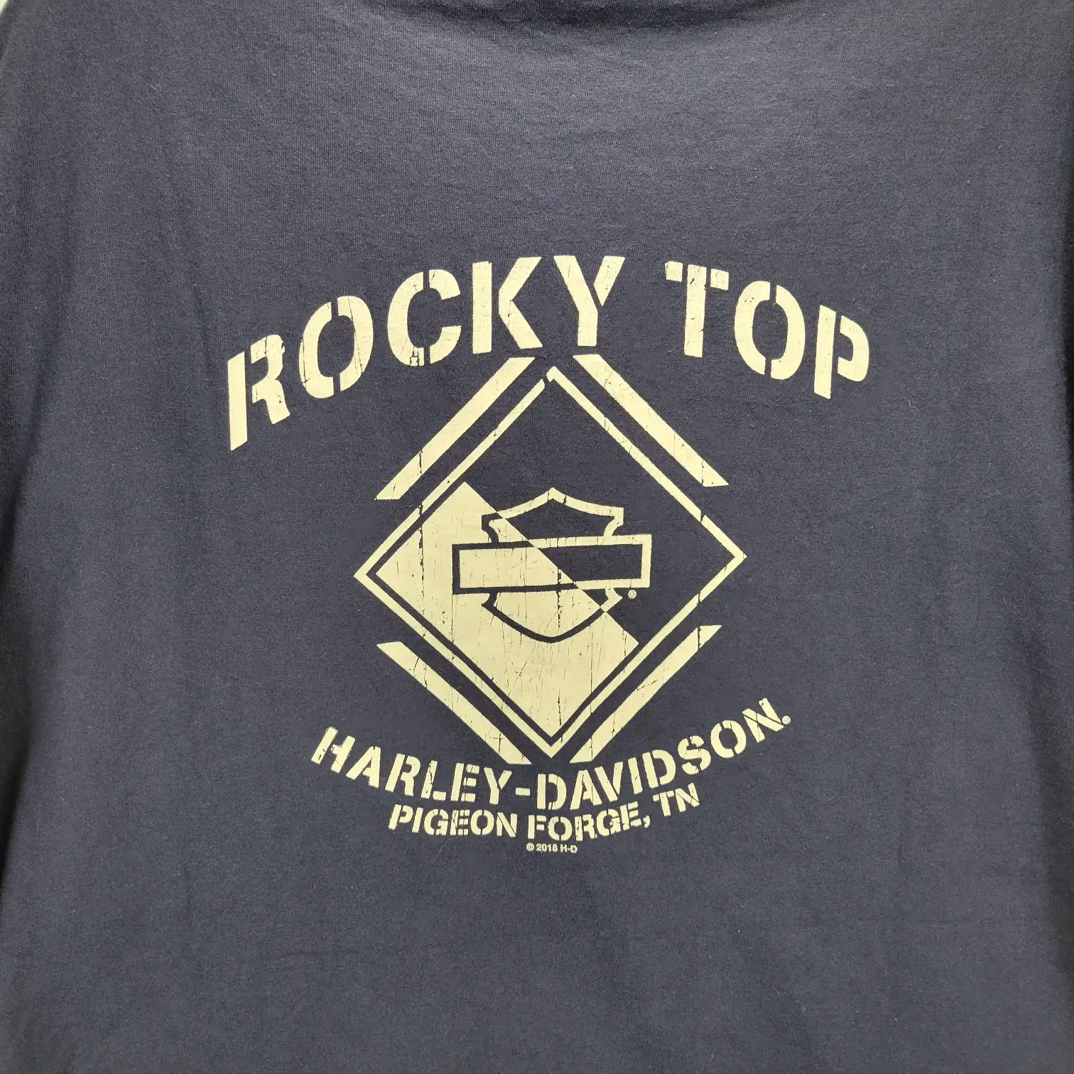 Mens 2XL Harley-Davidson "Ride Hard" Biker Chic Graphic T-Shirt Blue