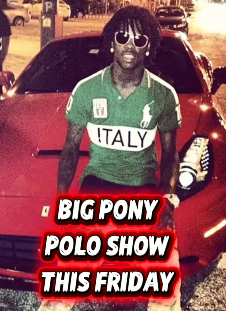 🏇BIG PONY POLO SHOW🏇