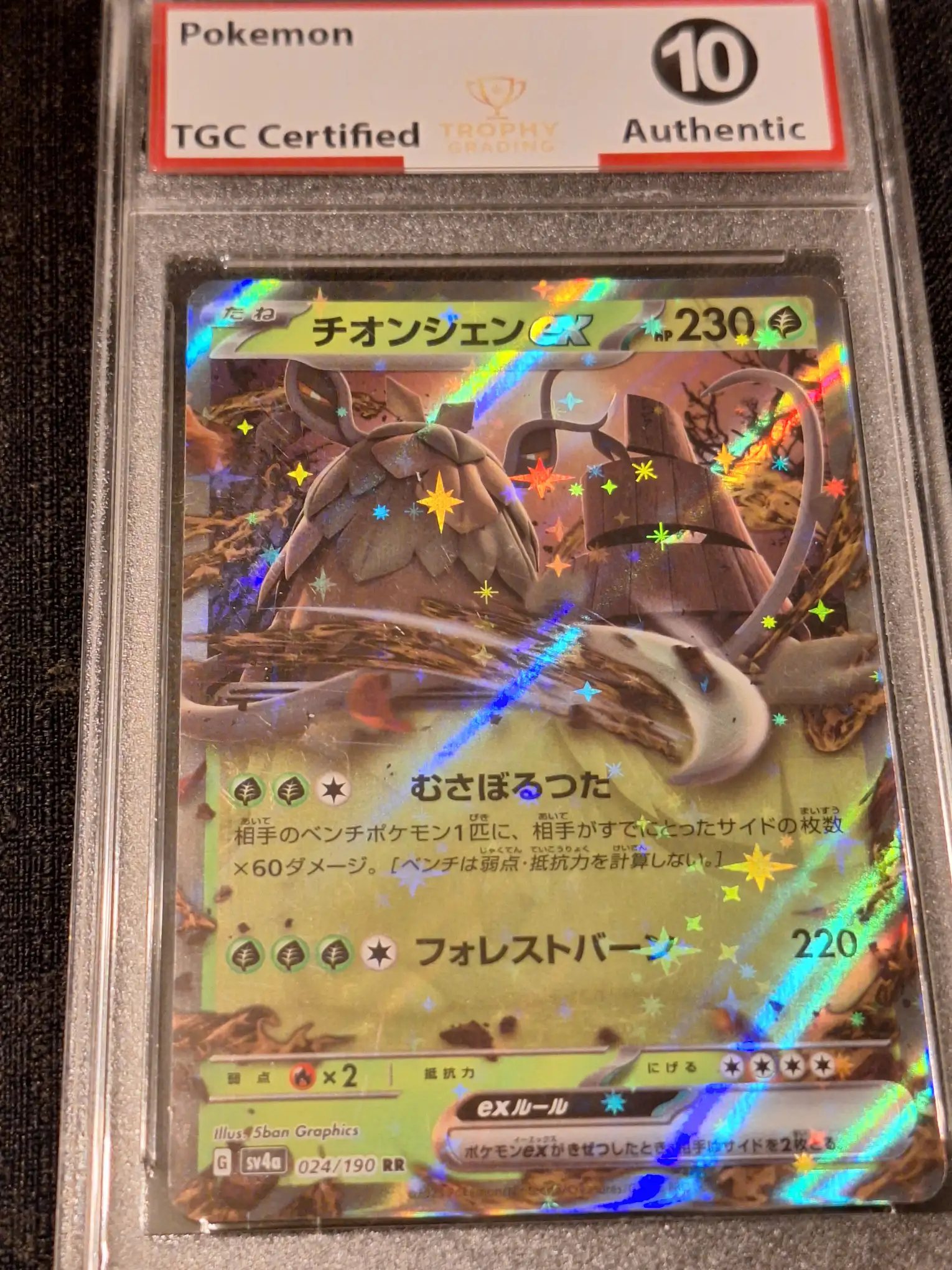 wo-chien EX (jp)Full Art Card - Graded 10 Authentic
