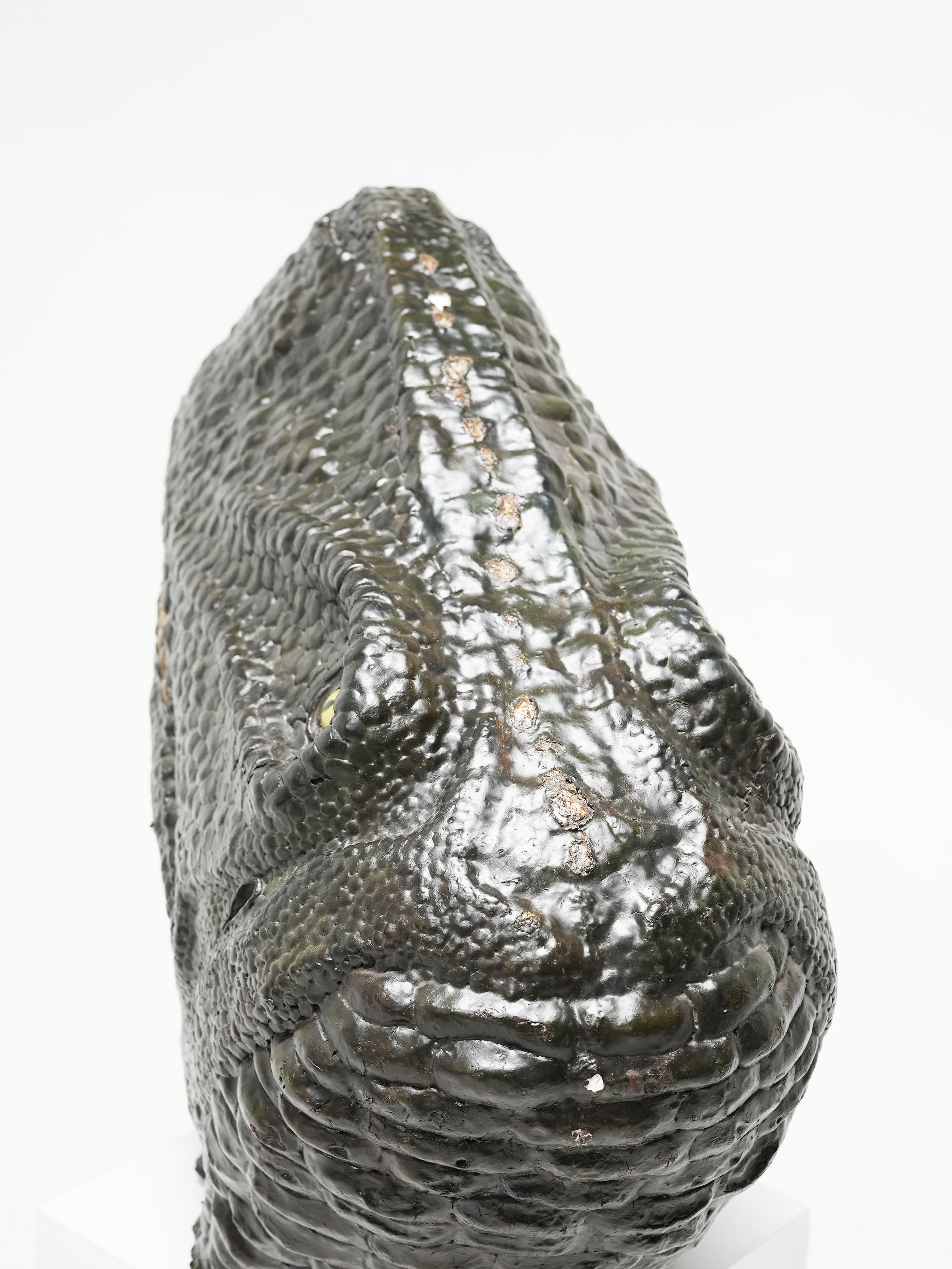 LARGE T-REX HEAD