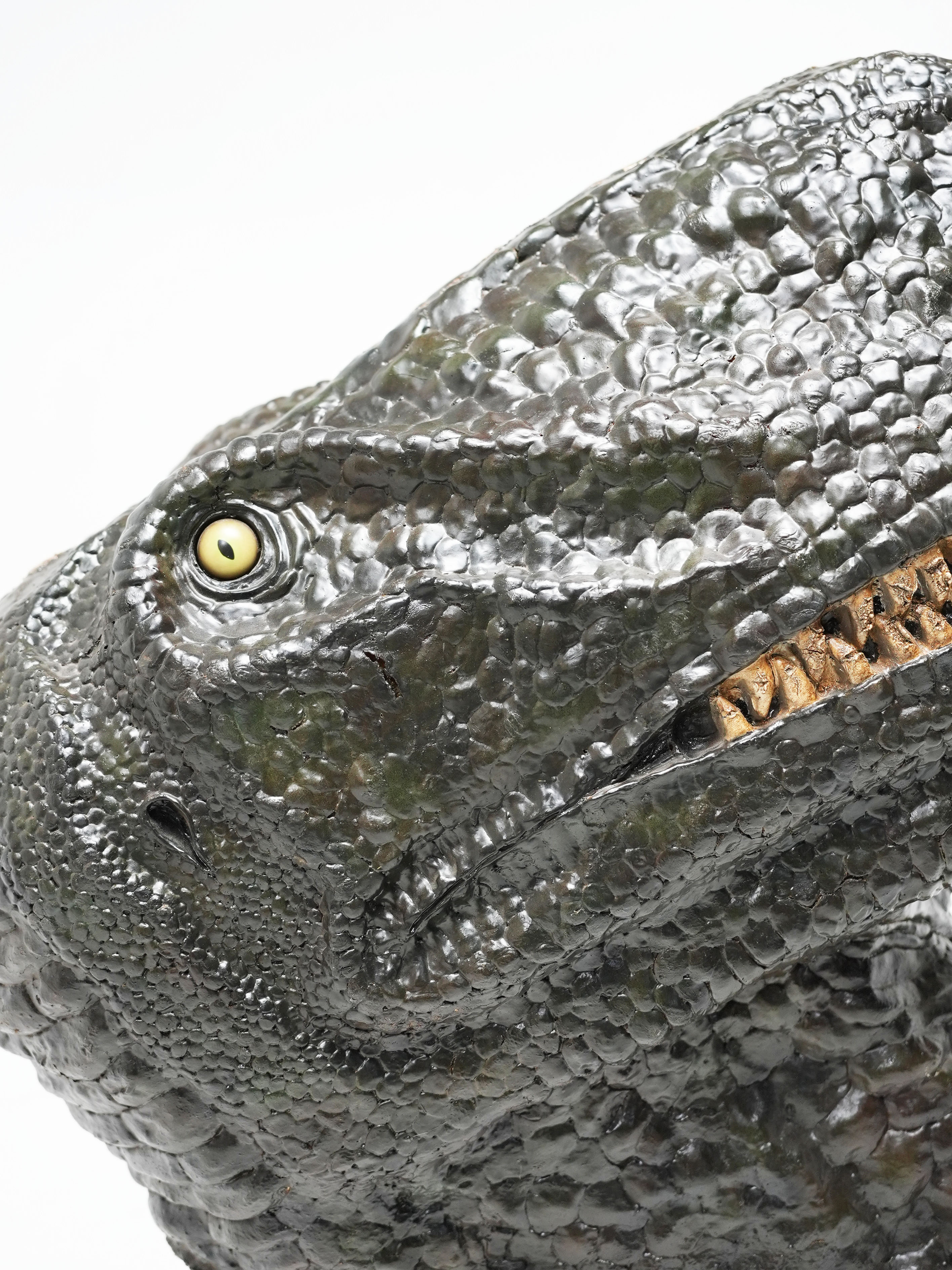 LARGE T-REX HEAD