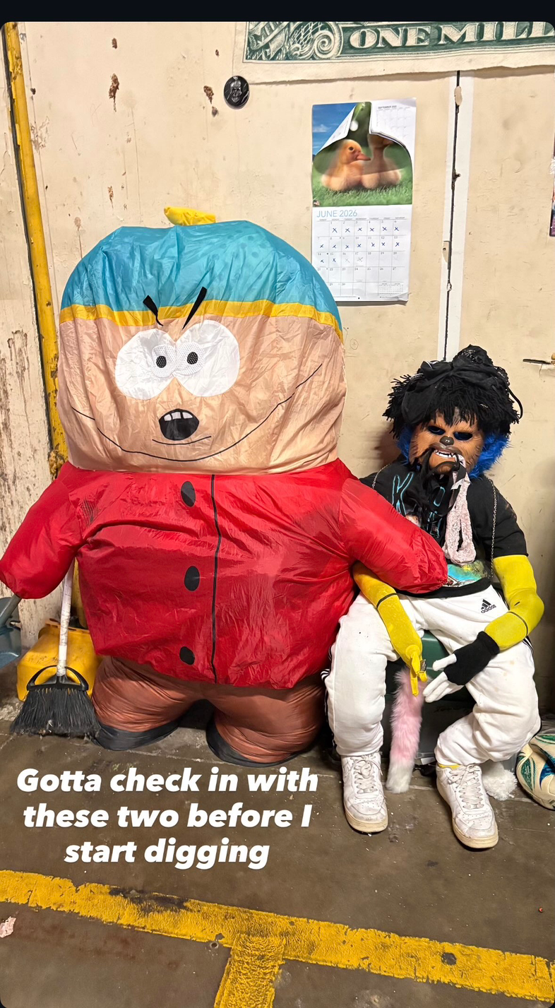 Live cover