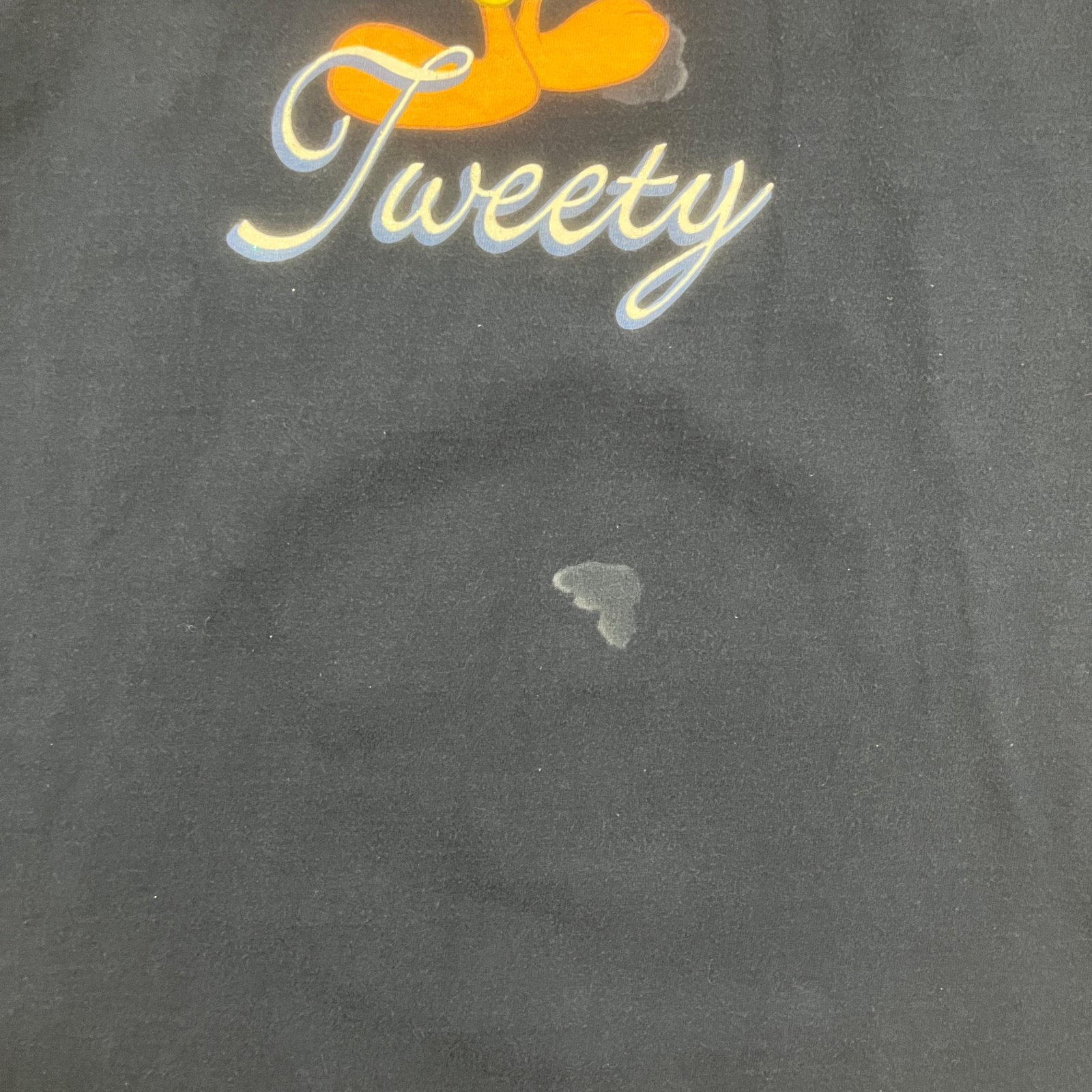 Vintage Looney Tunes Tweety Bird Anatomy Double Sided Graphic Tee Black