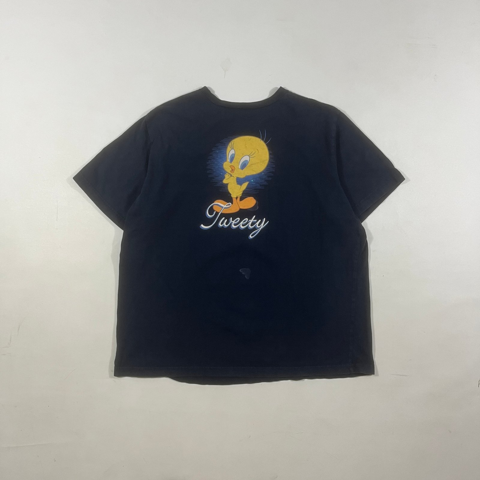Vintage Looney Tunes Tweety Bird Anatomy Double Sided Graphic Tee Black