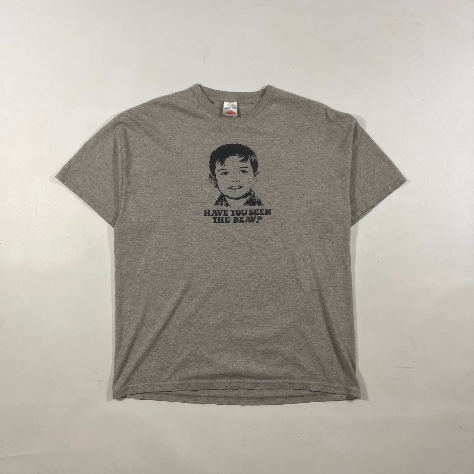 Vintage Tennessee River "Have You Seen The Beav?" Leave It To Beaver Heather Gray Tee