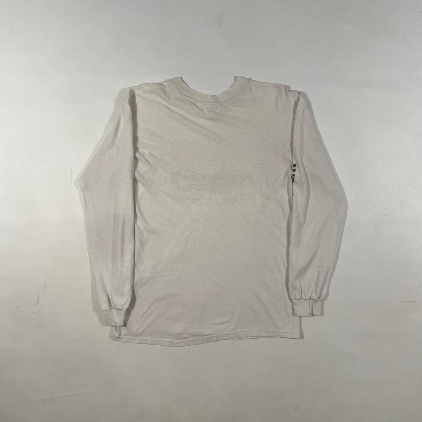 Vintage 90s Dolly Sods West Virginia Nature Scene Single Stitch Long Sleeve Tee M