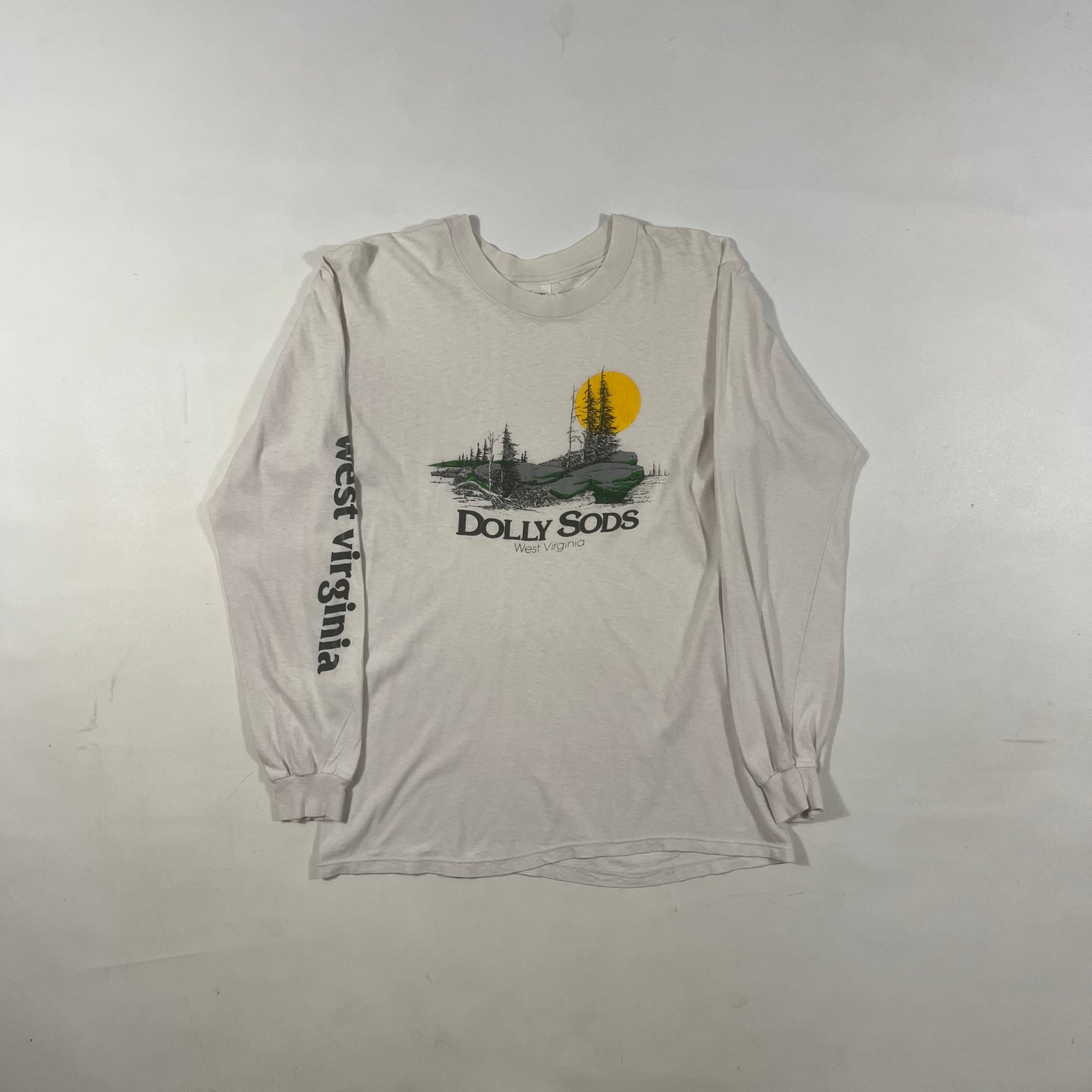 Vintage 90s Dolly Sods West Virginia Nature Scene Single Stitch Long Sleeve Tee M